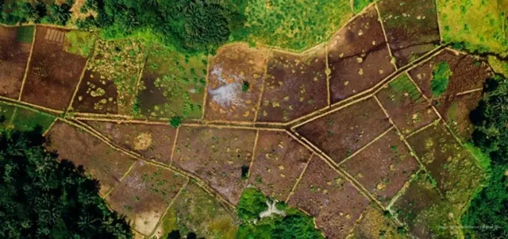 Master plan and layout overview of Godrej Plots Panchkula township
