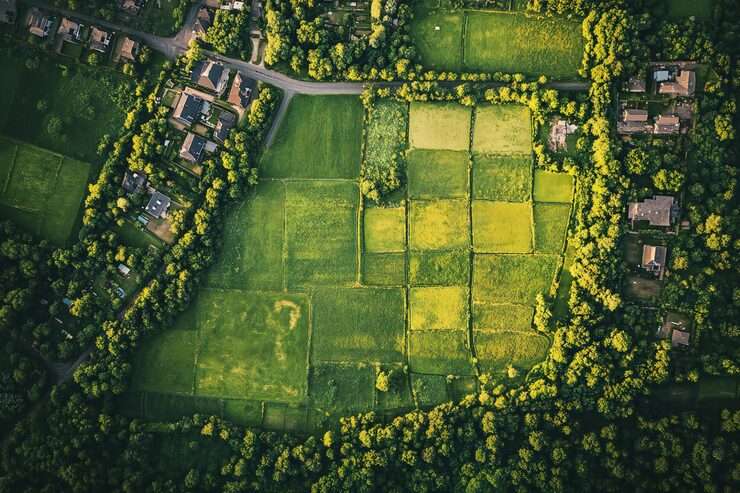 Garden of Eden - Premium Residential Plots near Mopa International Airport
